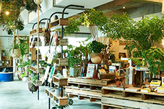 メコンブルー エシカルウェディングのWebサイト